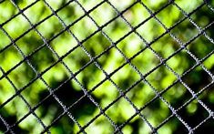 a close up view of a metal fence with green leaves in the backround