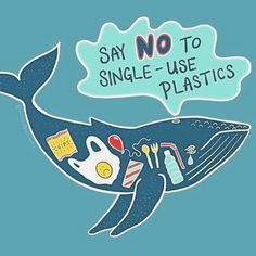 a cartoon whale with a speech bubble saying say no to single - use plastics