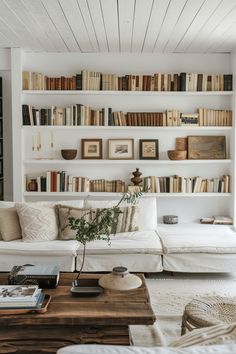 a living room filled with furniture and bookshelves full of books on top of them