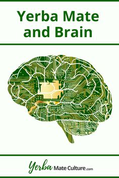 the front cover of a book with an image of a brain and circuit board in it