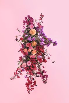 an arrangement of flowers on a pink background