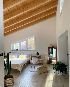 a bedroom with two beds and a cactus in the corner on the floor next to it