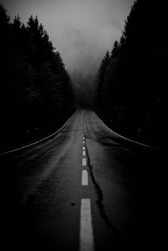 an empty road surrounded by trees in the dark