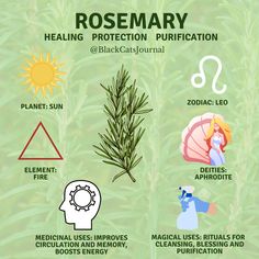 rosemary and other herbs with the words rosemary on it, including an image of a woman's face