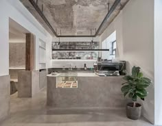 a kitchen with concrete walls and flooring next to a potted plant on the counter