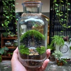 a hand holding a glass jar filled with plants and rocks in the shape of a house