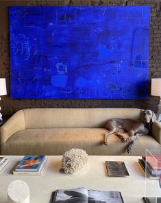 a dog laying on a couch in front of a blue painting