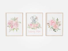 three watercolor paintings with pink flowers and an elephant in the middle are hanging on a wall