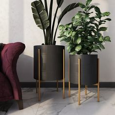 three planters sitting next to each other near a couch