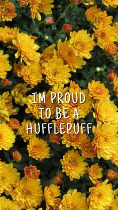 yellow flowers with the words i'm proud to be a hufflepuff