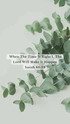 some green leaves and the words when the time is right, the lord will make it happen