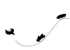 two black cats are flying in the air with a string attached to their tails and tail