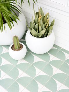 two potted plants sitting next to each other on a tiled floor