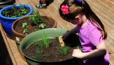 DIY container for deck gardening Part I - Food & Swine Thyme Uses, Container Herb Garden, Herb Plants, Root Structure, Homemade Ranch Dressing