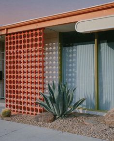 an orange and white building with a cactus next to it