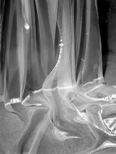 black and white photograph of sheer curtains