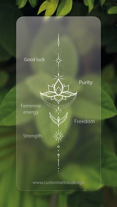 an image of a green leaf with the words, good luck and purify