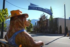 a large bear statue sitting on top of a wooden bench next to a street sign