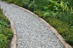 a gravel path in the middle of a garden with flowers and plants growing on both sides