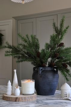 a candle is sitting on a table next to a potted plant and pine cones