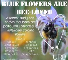 blue flowers are bee - loved with an image of a bum in the center and below it