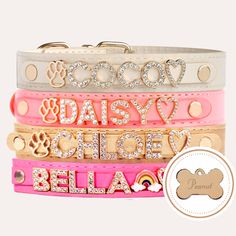 four different colored dog collars with the words daisy, believe and paw on them