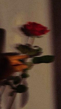 blurry photograph of flowers in vases on table