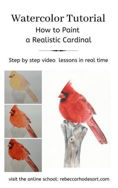 a red bird sitting on top of a wooden post next to other pictures and words