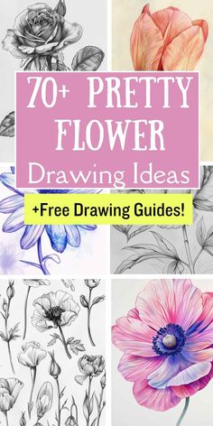 different types of flower drawings with text overlay that reads, 70 pretty flower drawing ideas