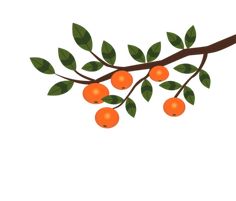 an orange tree branch with fruit on it