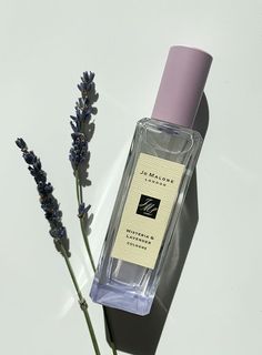 Jo Malone London Wisteria & Lavender Cologne (Hey Pretty Beauty Blog Erfahrungsbericht) Wisteria Perfume, London Wisteria, Jo Malone London, Jo Malone, Wisteria, Beauty Blogger, Beauty Blog, Fragrances Perfume, Tom Ford