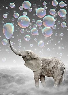 an elephant is standing in front of soap bubbles