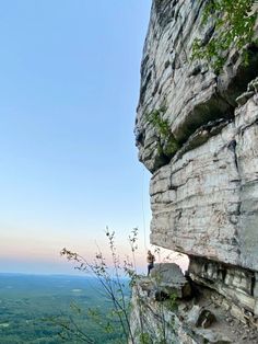 a man standing on top of a cliff next to a lush green forest