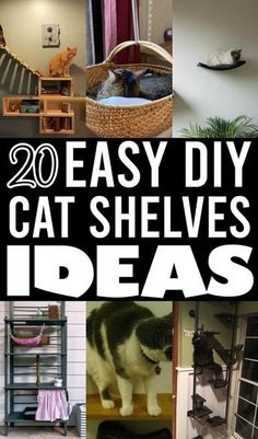 20 easy diy cat shelving ideas that are great for the home or office