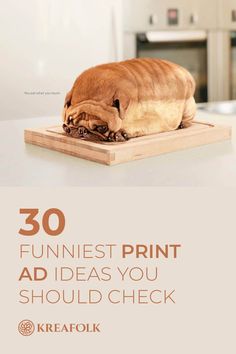 an animal that is laying on top of a wooden board with the words 30 funnies print