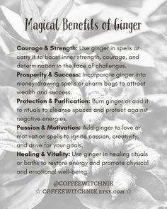 Properties and meanings of Ginger root in witchcraft, spell work and kitchen witchery. This powerful spice has many uses and benefits around the cauldron and in spell crafting. #gingerwitchcraft #gingerwitchcraftuses #gingerwitchcraftmeaning #gingerrootwitchcraft #gingerinwitchcraft Ginger Uses, Witchcraft Meaning, Ginger Benefits