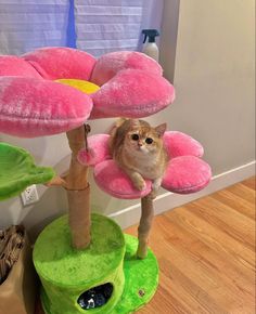 a cat sitting on top of a pink and green tree