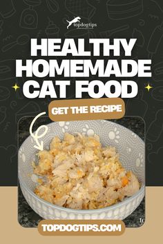 Healthy Homemade Cat Food