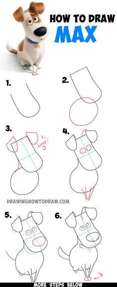 how to draw max from the secret life of pets step by step instructions for kids