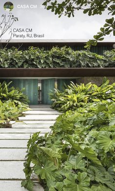 an entrance to a building with lots of green plants