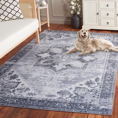 a large dog laying on top of a blue rug