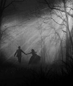 two people holding hands in the woods on a foggy day