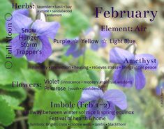 February Magical Correspondences, February Correspondences, February Magick, Full Moon Spells, Winter Blessings