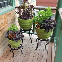 three potted plants are sitting on a porch