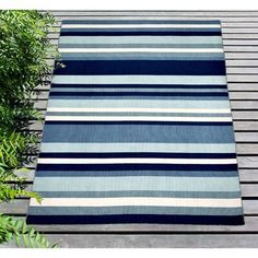 a blue and white striped rug sitting on top of a wooden floor next to plants