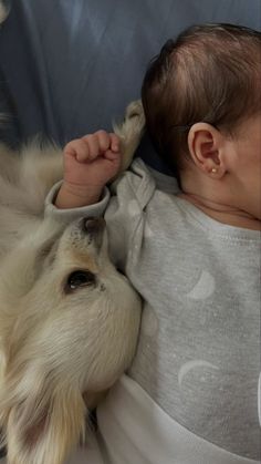 a baby laying on top of a dog next to a white dog's head