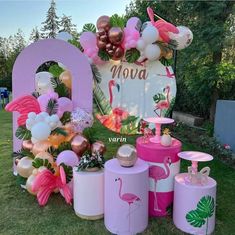 pink flamingo themed birthday party with balloons and decorations on the grass in front of a sign that says mova