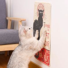 a cat is playing with a rug on the wall