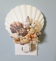 shells and seashells are arranged on a light switch