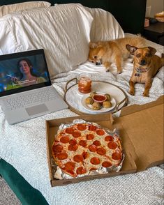 two dogs sitting on a bed with pizza and laptop